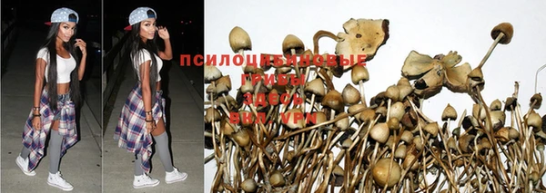 альфа пвп VHQ Богданович